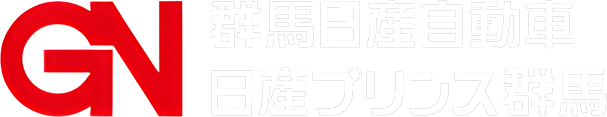 GNグループ