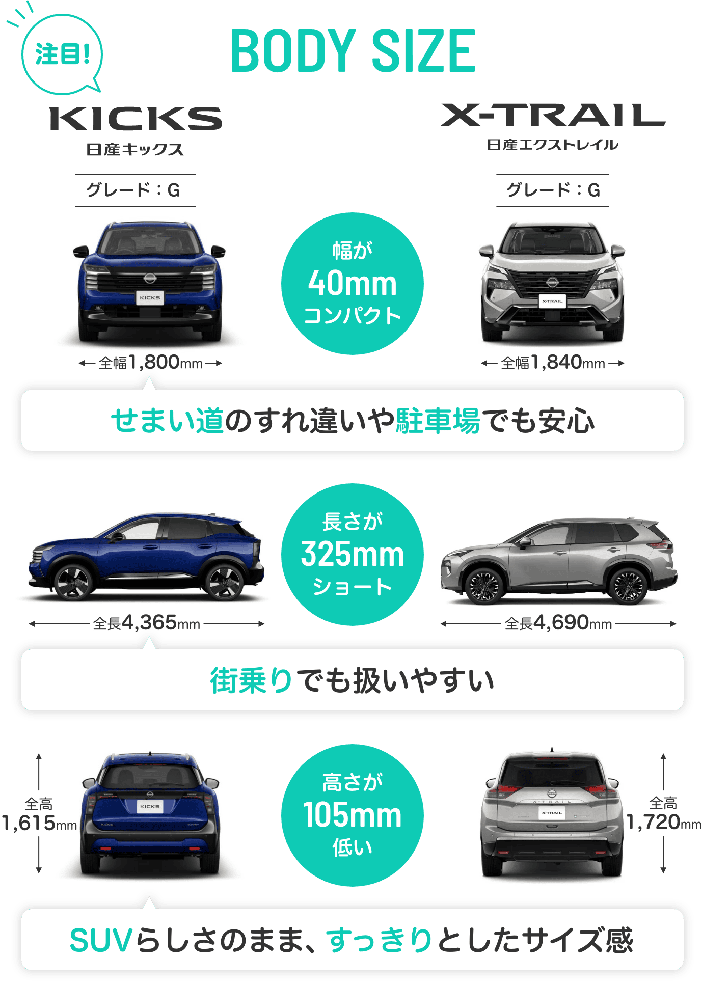 BODY SIZE 画像