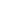 典