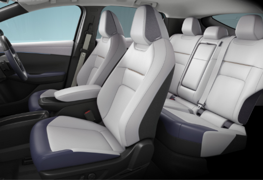 グレー／ブルーパープル